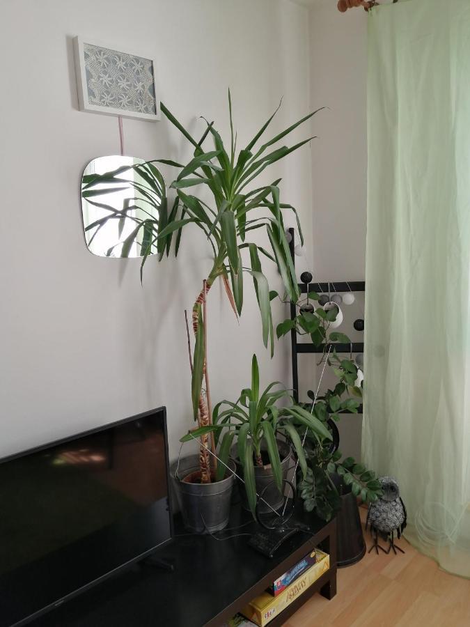 Nová LesnáEmma公寓 外观 照片
